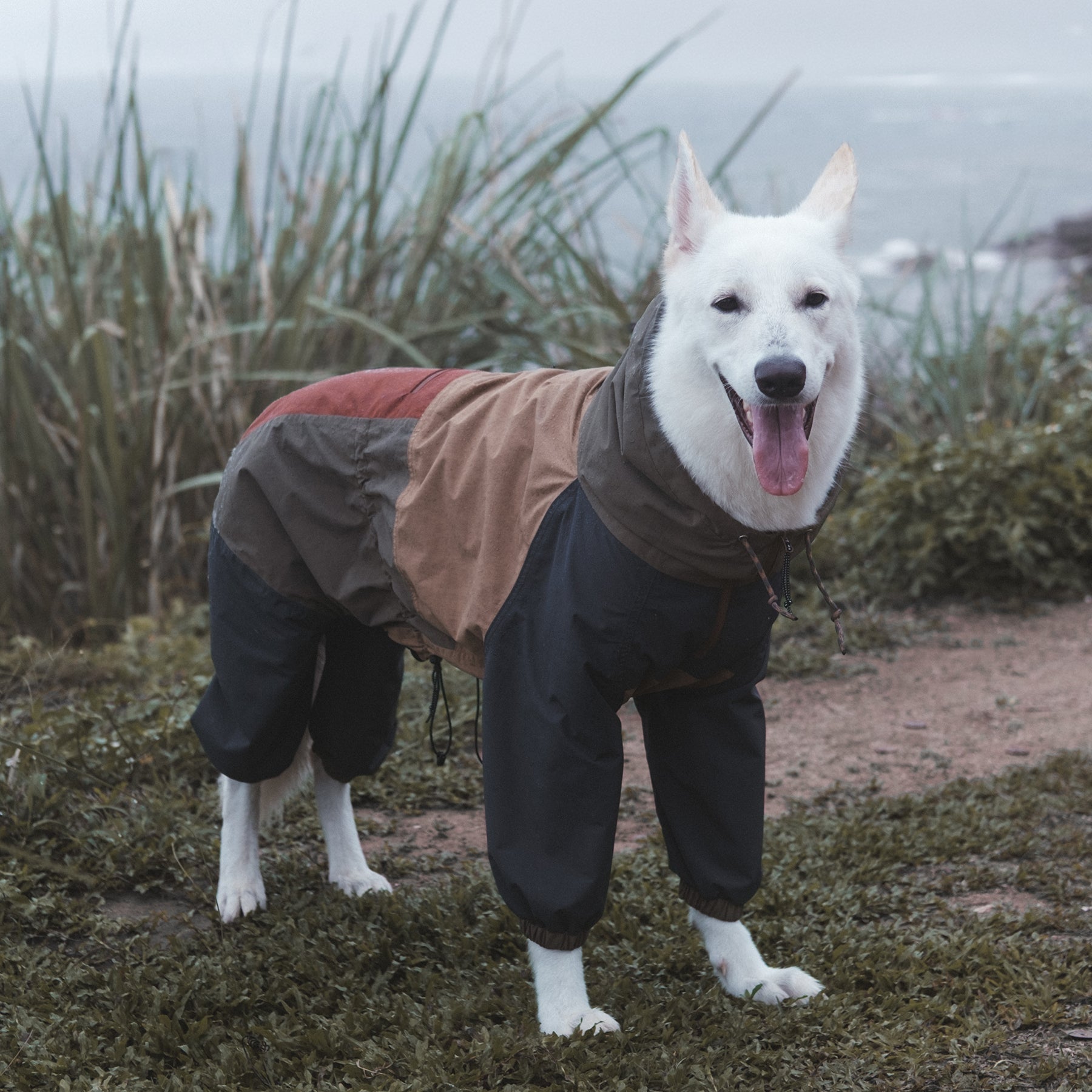 Horizon Over Mesa Dog Waterproof Suit Mezkui